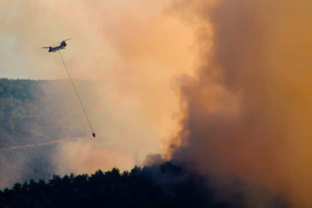 EXCLUSIVE: In Pictures – The Devastating Impacts of Wildfires in Turkey