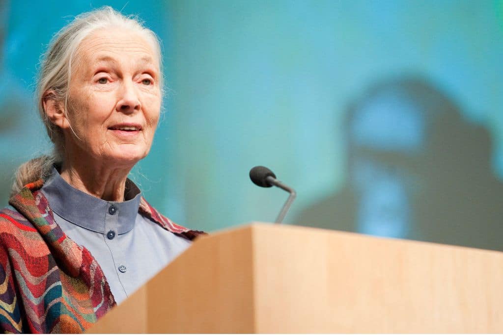 Jane Goodall. Photo: World Bank Photo Collection/Flickr