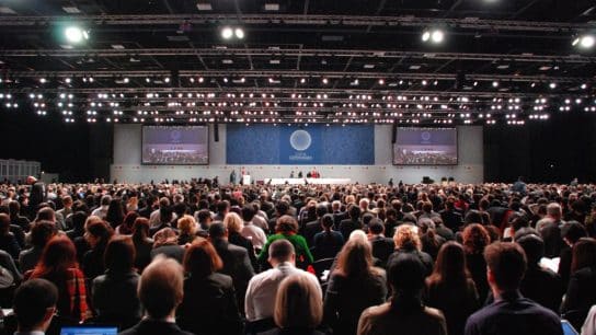 Explainer: What Is the UNFCCC?