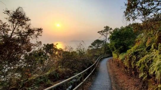 Concrete City: Meet the Hong Kong Volunteers Who Advocate For Sustainable Trail Management Practices