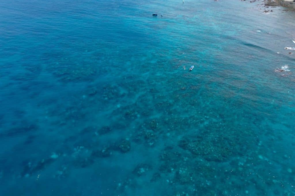 The coral bleaching in Isla del Caño is even noticeable from the surface.