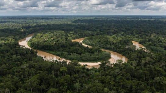 Climate Change Is Main Driver of Historic Amazon River Drought, Study Finds