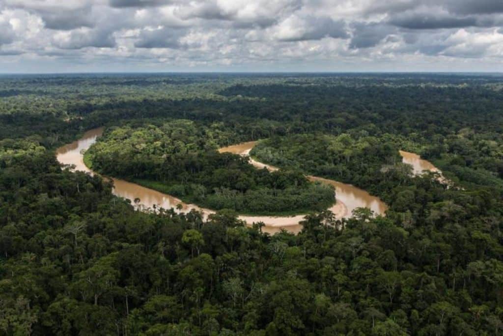 Climate Change Is Main Driver of Historic Amazon River Drought, Study Finds