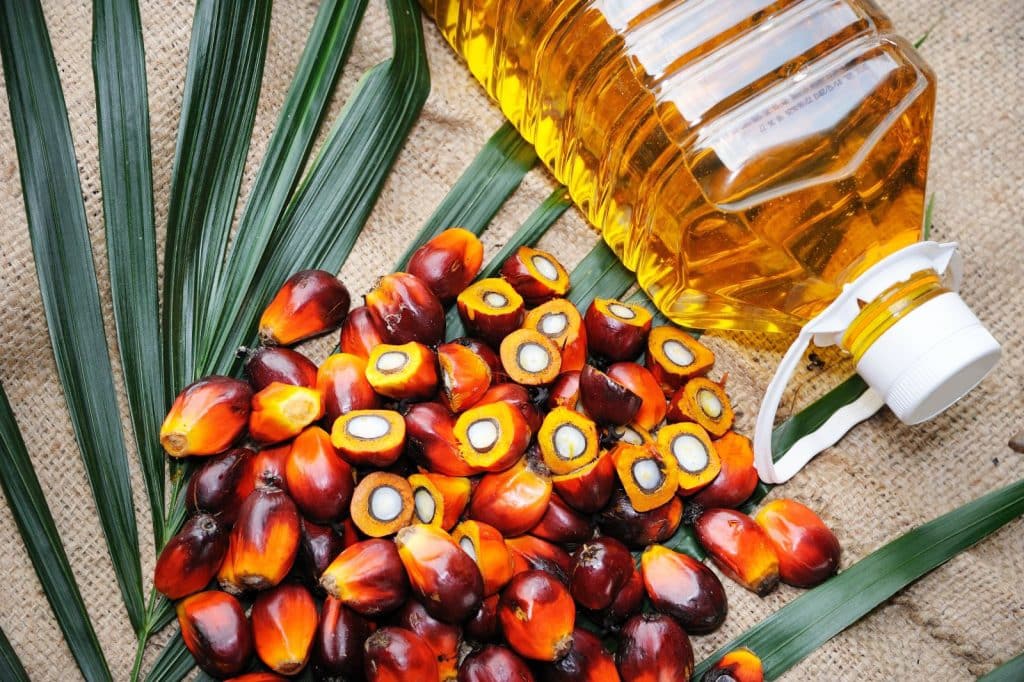 The Challenges of Sustainable Palm Oil Production and Consumption