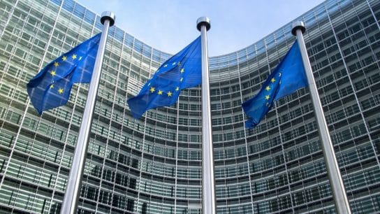 All You Need to Know About the EU’s New Greenwashing Directive