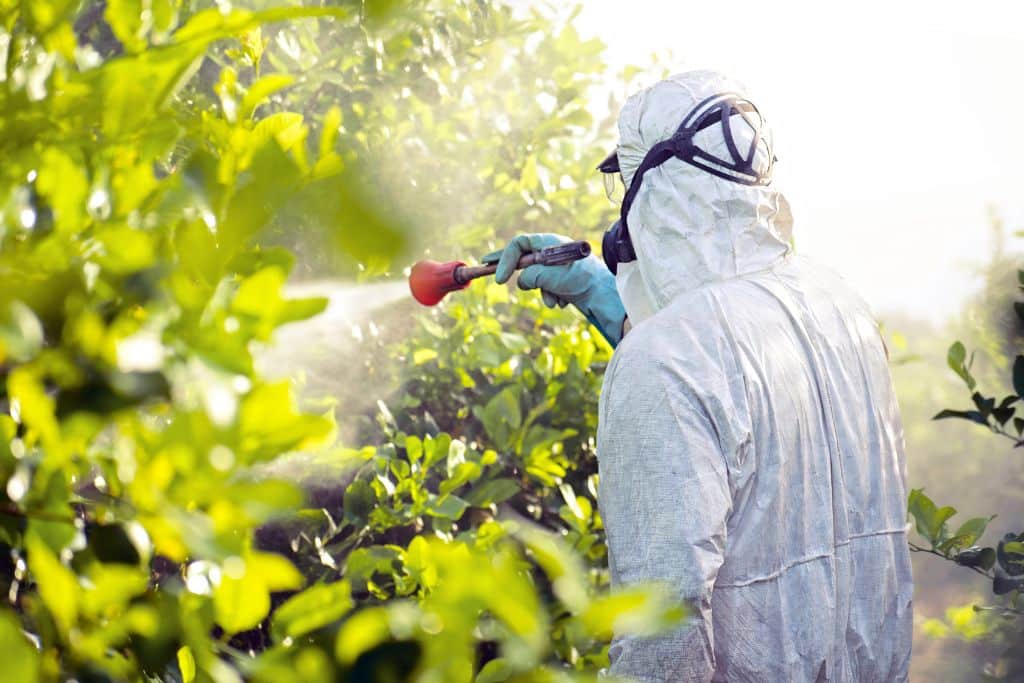the environmental impact of pesticides