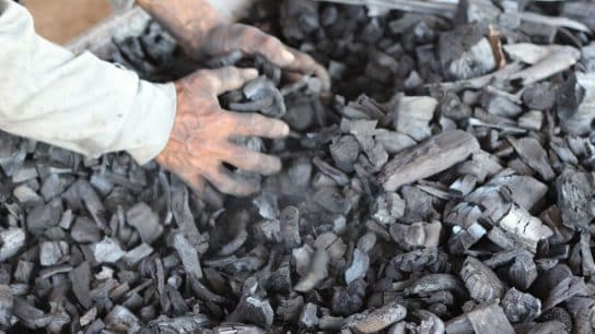 The Remarkable Growth of the Global Biochar Market: A Beacon of Environmental Progress