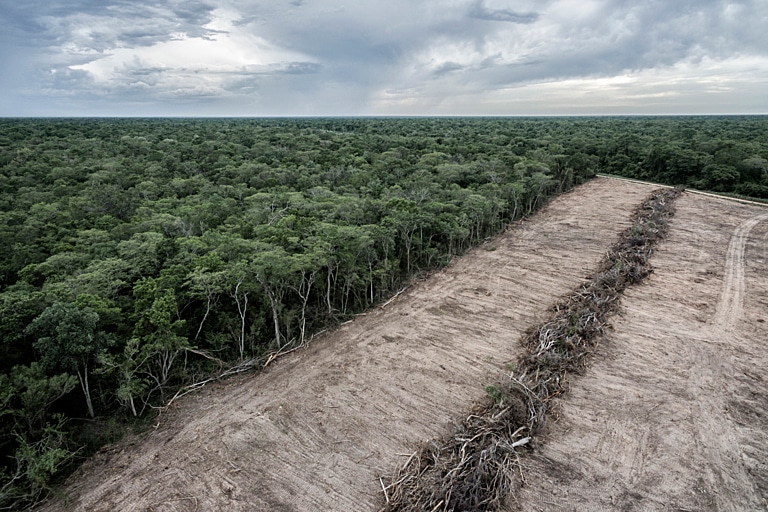 Brazilian Atlantic Forest deforestation up nearly 60% - New World
