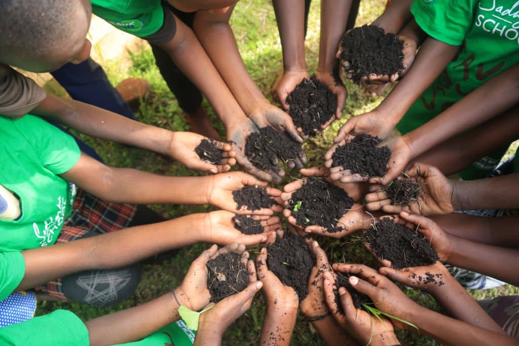 Op-Ed: Why 2024 Is a Pivotal Year for Our Soil