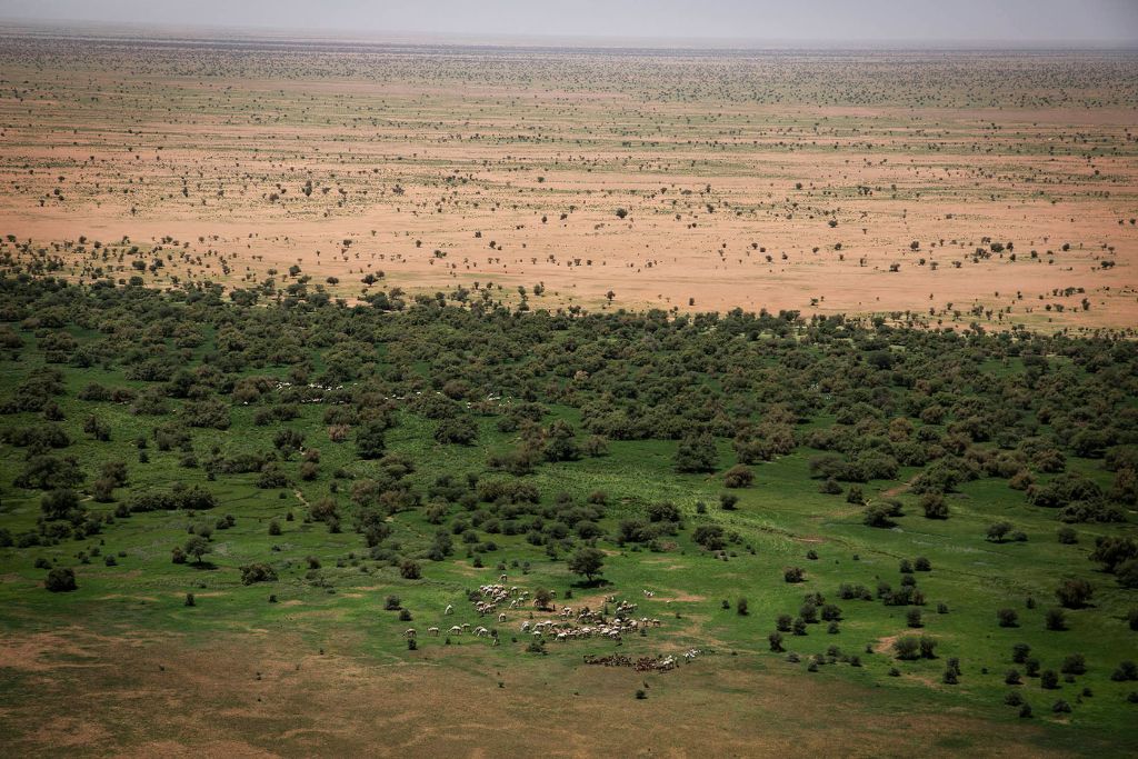 The Great Green Wall: A Wall of Hope or a Mirage?
