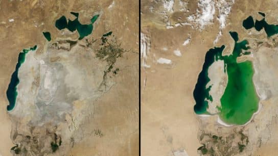The Aral Sea Catastrophe: Understanding One of the Worst Ecological Calamities of the Last Century