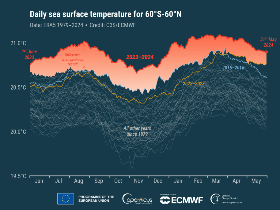 Daily mean sea surface temperature (°C) over the extrapolar global ocean (60°S–60°N) for all 12-month periods from June to May of the following year.